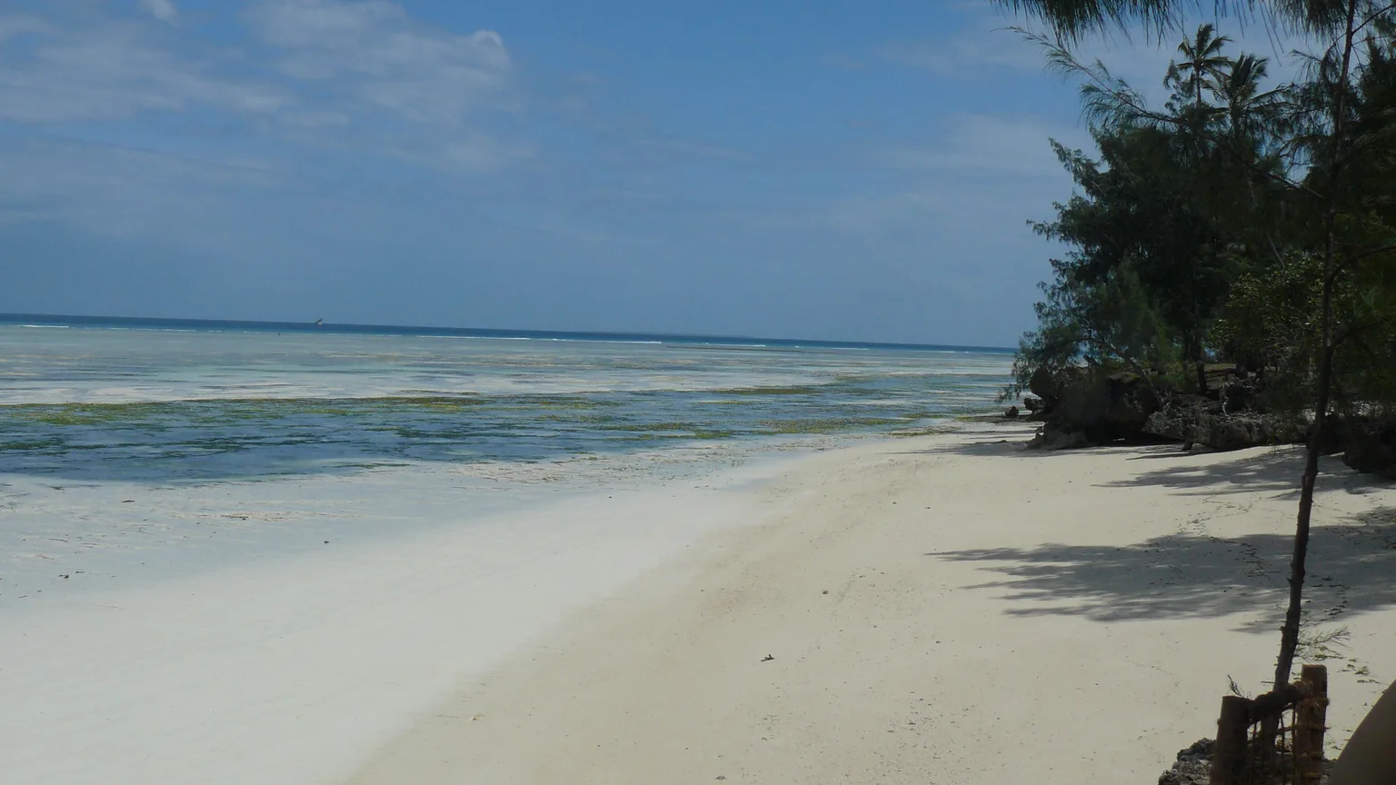 Praia real em Zanzibar com areia clara e oceano Indico